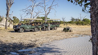 Botswana safari