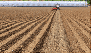 Agricoltura in Canada