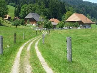 Farm Switzerland