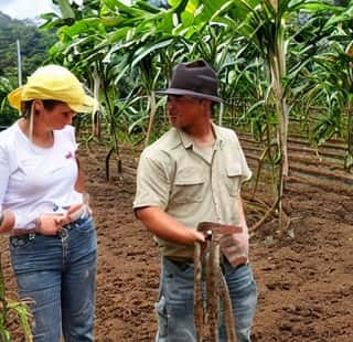 Field workers Costa Rica